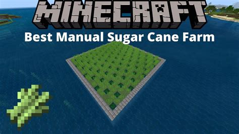 Minecraft Sugar Cane Farm Schematic