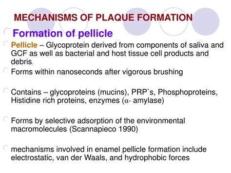 PPT - DENTAL PLAQUE PowerPoint Presentation, free download - ID:9596205