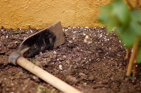 24 Gardening Soil Types Ideas You Should Look | SharonSable