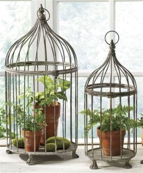 Using Bird Cages For Decor: 46 Beautiful Ideas | DigsDigs Small Bird ...