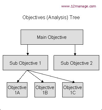 Objective Analysis Tree Summary and Forum - 12manage