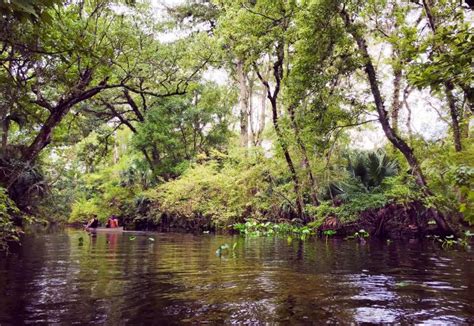 Wekiwa Springs State Park | NewToOrlando™