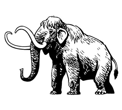 Woolly Mammoth Illustrations, Royalty-Free Vector Graphics & Clip Art - iStock