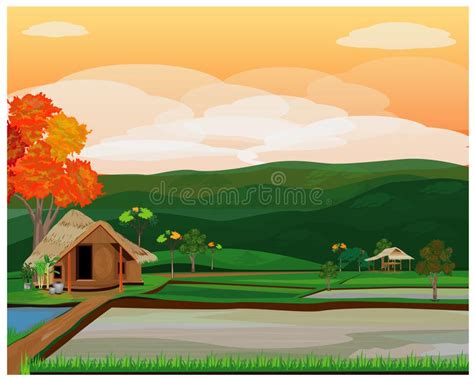 Paddy field vector design stock vector. Illustration of shovel - 131298779