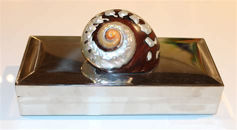 Shell Boxes | Decorative Coastal Shells