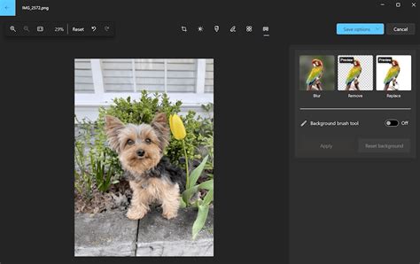Windows Photos gets background remove and replace, along with other improvements | Windows ...