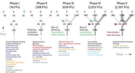 Evolution of the Three Domains of Life: The Archaea-First Hypothesis ...