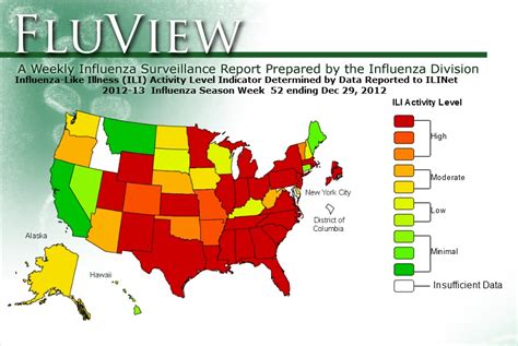 Bird Flu Deaths 2024 List - Valli Isabelle