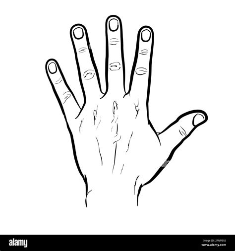 Hand outline hi-res stock photography and images - Alamy