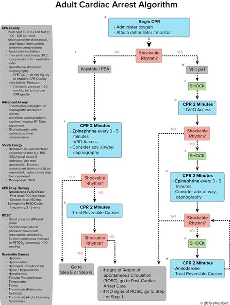 Acls Respiratory Algorithm