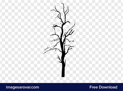 Dead Tree Silhouette Vector Clipart Png Free download – Free Vectors, Illustrations & PSD ...