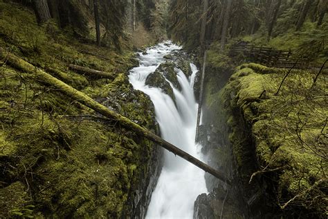 Hiking to the Beautiful Sol Duc Falls at Olympic National Park ...