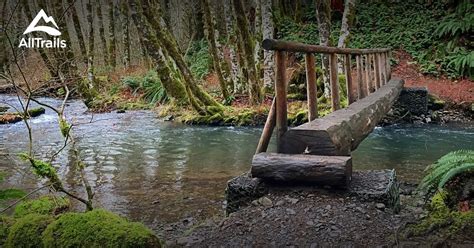 Best Trails near Gales Creek - Oregon | 131 Photos & 65 Reviews | AllTrails