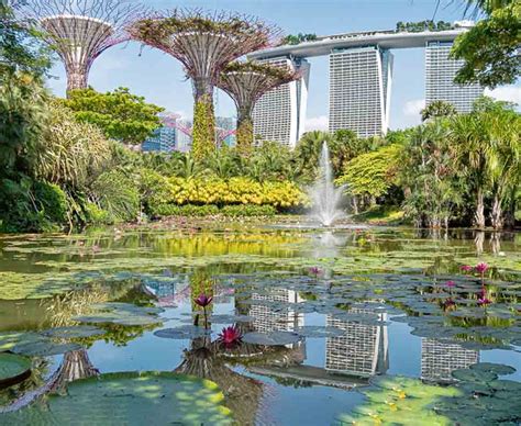 Gardens by the Bay