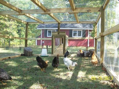 Diy Chicken Run Plans