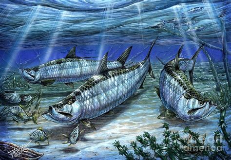 Tarpon In Paradise - Sabalo Painting by Terry Fox - Fine Art America