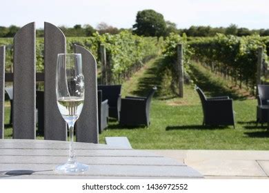 142 Long Island Winery Images, Stock Photos & Vectors | Shutterstock