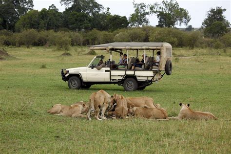 Serengeti Bushtops - Serengeti National Park - Tanzania