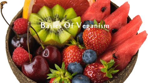 Basics Of Veganism | Living The Vegan Lifestyle In 2024