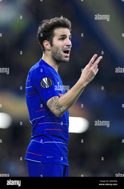 Chelsea's Cesc Fabregas Stock Photo - Alamy