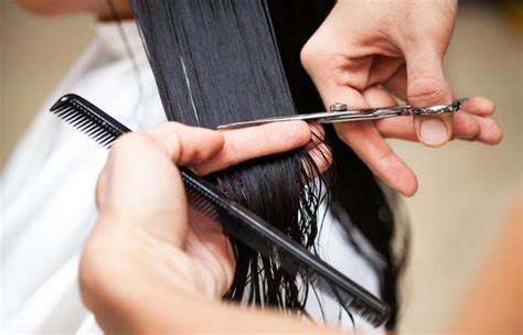 Is It Better To Cut Hair Dry Or Wet? A Complete Guide