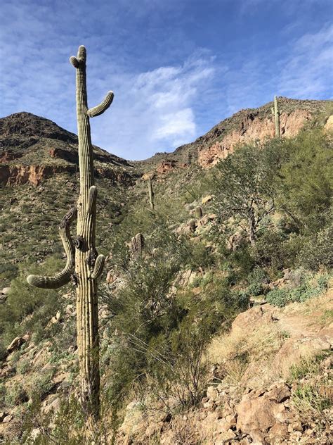 Pass Mountain Trail - Arizona | AllTrails