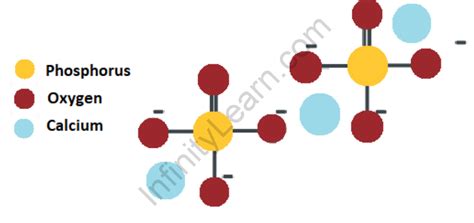 Calcium Phosphate Formula - Definition, Structure and Properties