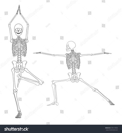 Human Skeleton Drawing Pose