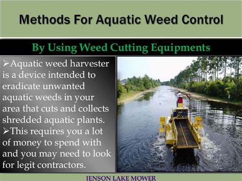 The best aquatic weed control methods