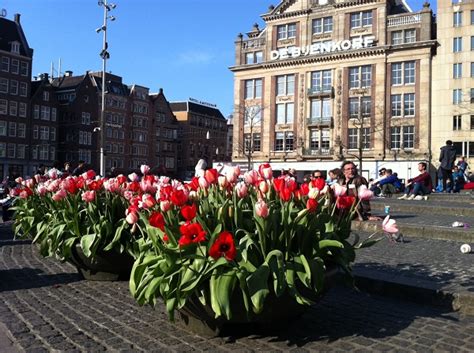 Tulip events in Amsterdam in April | Holland Explorer. Travel & Lifestyle