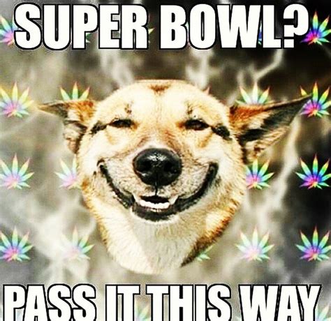 30 Super Bowl Memes for Those of Us Who Were Forced to Sit Through the Game