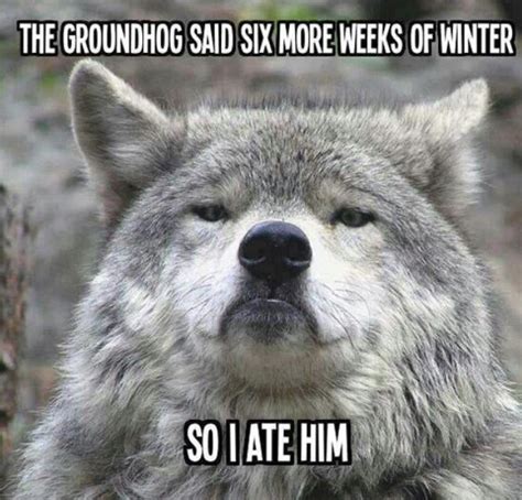 Funny Groundhog Day Memes You Can Laugh at No Matter the Forecast