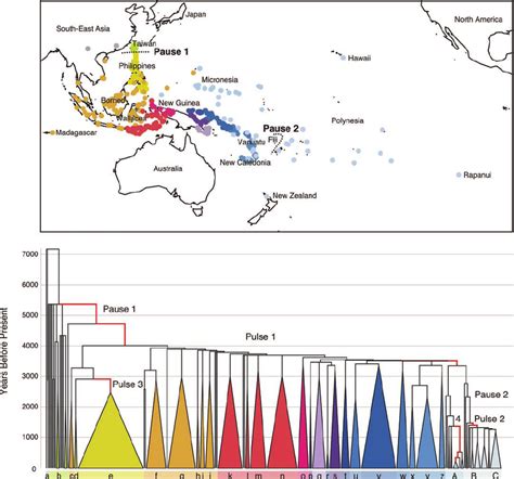 Map and maximum clade credibility tree of 400 Austronesian languages.... | Download Scientific ...