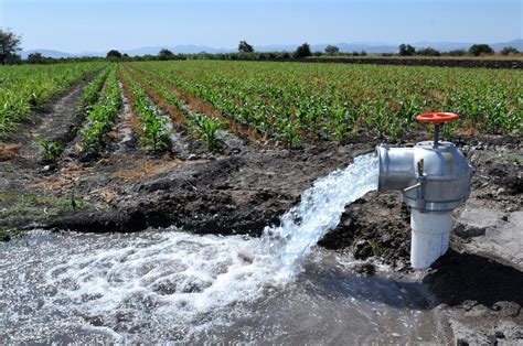 CALIDAD DEL AGUA PARA RIEGO AGRÍCOLA