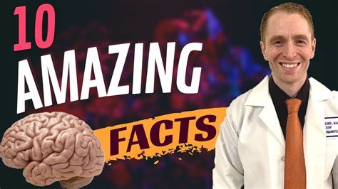 10 Amazing Facts About the Brain #10: Einstein's Brain - YouTube