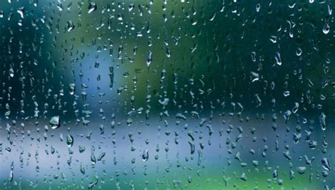 Online Free Rain Sounds • Ambient Noise For Focus & Relax - ShutEye