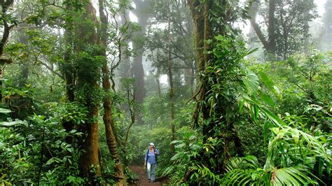 The Secret of Costa Rica’s Hidden Cloud Forests