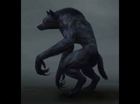 Dogman - Cryptid of many names - YouTube