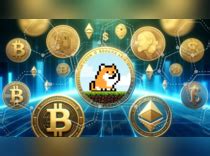 Investing in meme coins: Key strategies from Giottus co-founder Arjun Vijay - The Economic Times