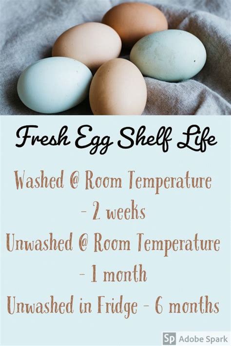 Fresh Eggs Shelf Life | Backyard chickens eggs, Chickens backyard ...