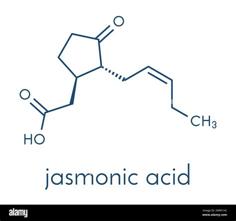 Jasmonic acid (jasmonate, JA) plant hormone molecule. Skeletal formula ...