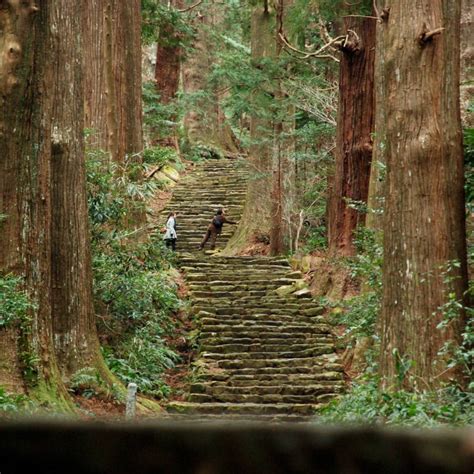 Kumano Kodo Self-Guided Hike Japan | Japan Adventure Travel | World ...