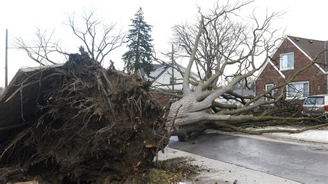 Record temperatures, high winds in forecast this week