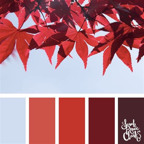 25 Color Palettes Inspired by the Pantone Fall 2017 Color Trends | Inspiring color schemes by ...