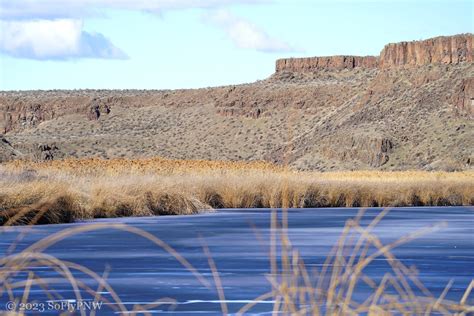 The Tri-Cities and hiking the Rimrock Lake Trail in the Columbia ...