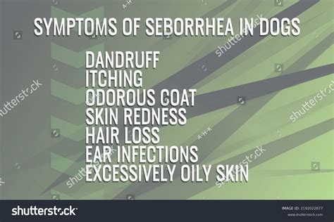 Symptoms Seborrhea Dogs Vector Illustration Medical Stock Vector ...