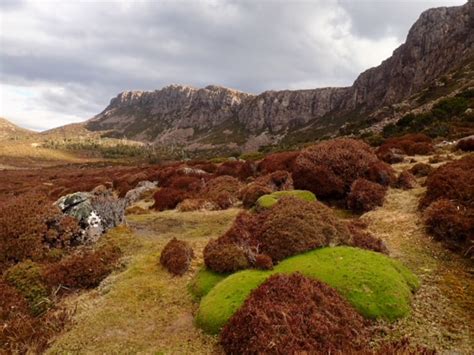 Women's Tasmania Walls Of Jerusalem Hiking Trip | Women Want Adventure