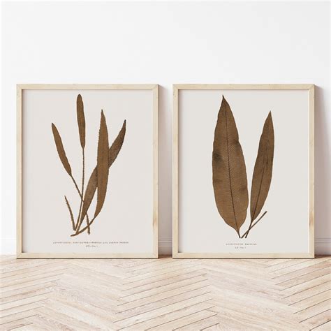 Sepia Tone Prints Botanical Art Set of Two Prints Printable - Etsy