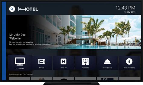 IPTV for Hotels and Resorts - AlphaOTT