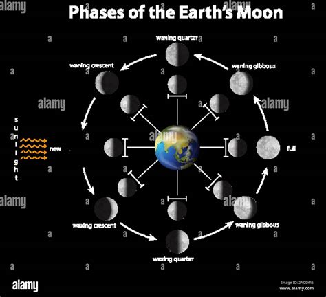 Moon phases diagram hi-res stock photography and images - Alamy